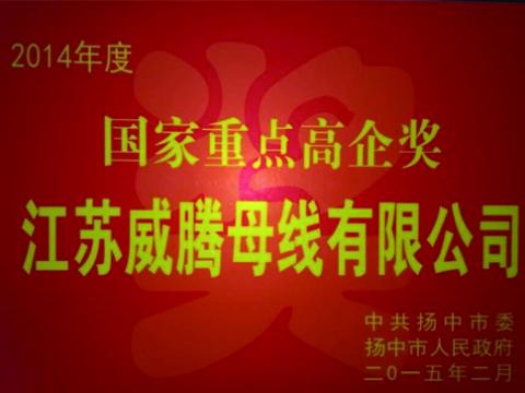 5001拉斯维加斯母线公司获“国度沉点高企”奖