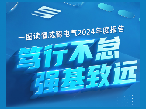 一图读懂5001拉斯维加斯电气2024年度汇报